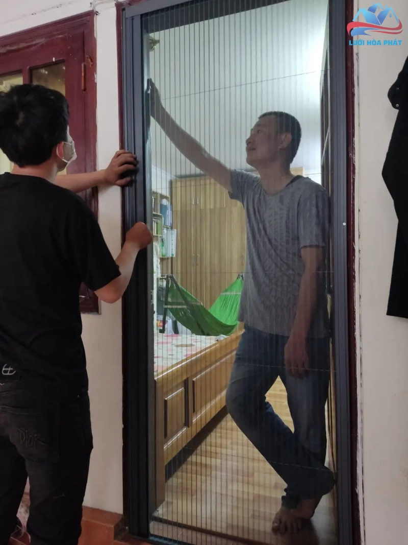 Kết hợp cây phong lữ với các giải pháp phòng chống muỗi toàn diện