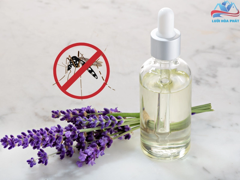 Sử dụng tinh dầu tự nhiên để đuổi muỗi tại nhà