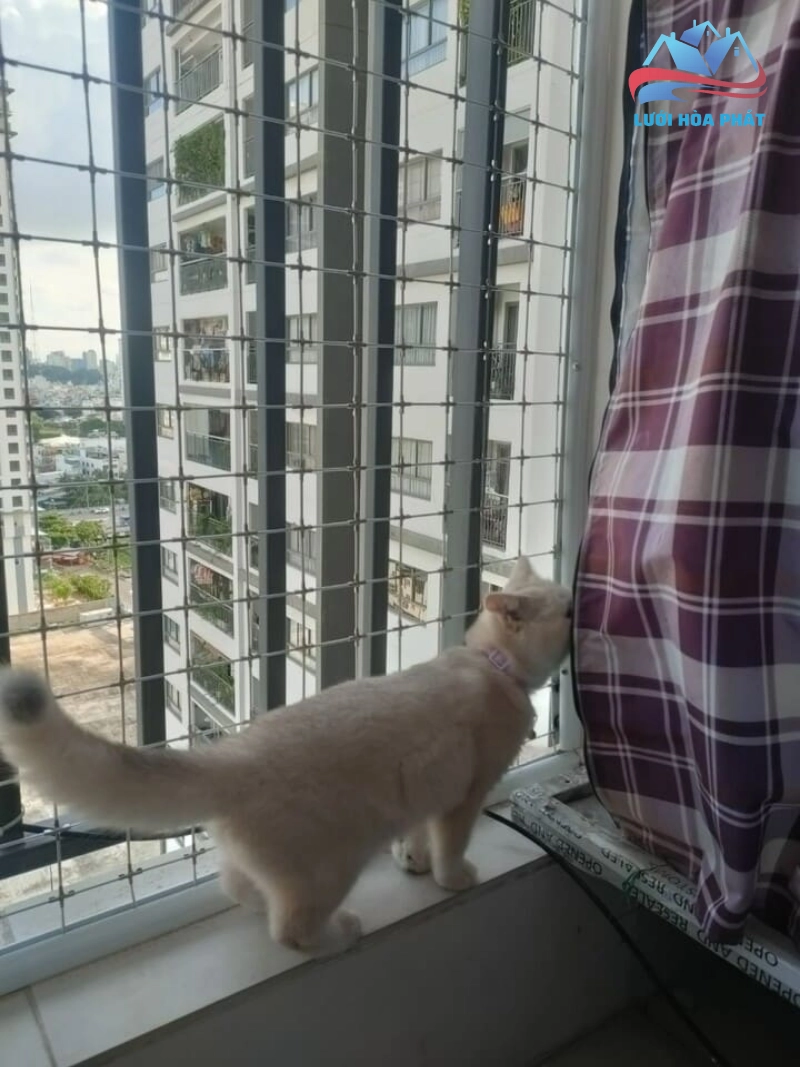 Tiêu chí lựa chọn lưới an toàn bảo vệ thú cưng chất lượng