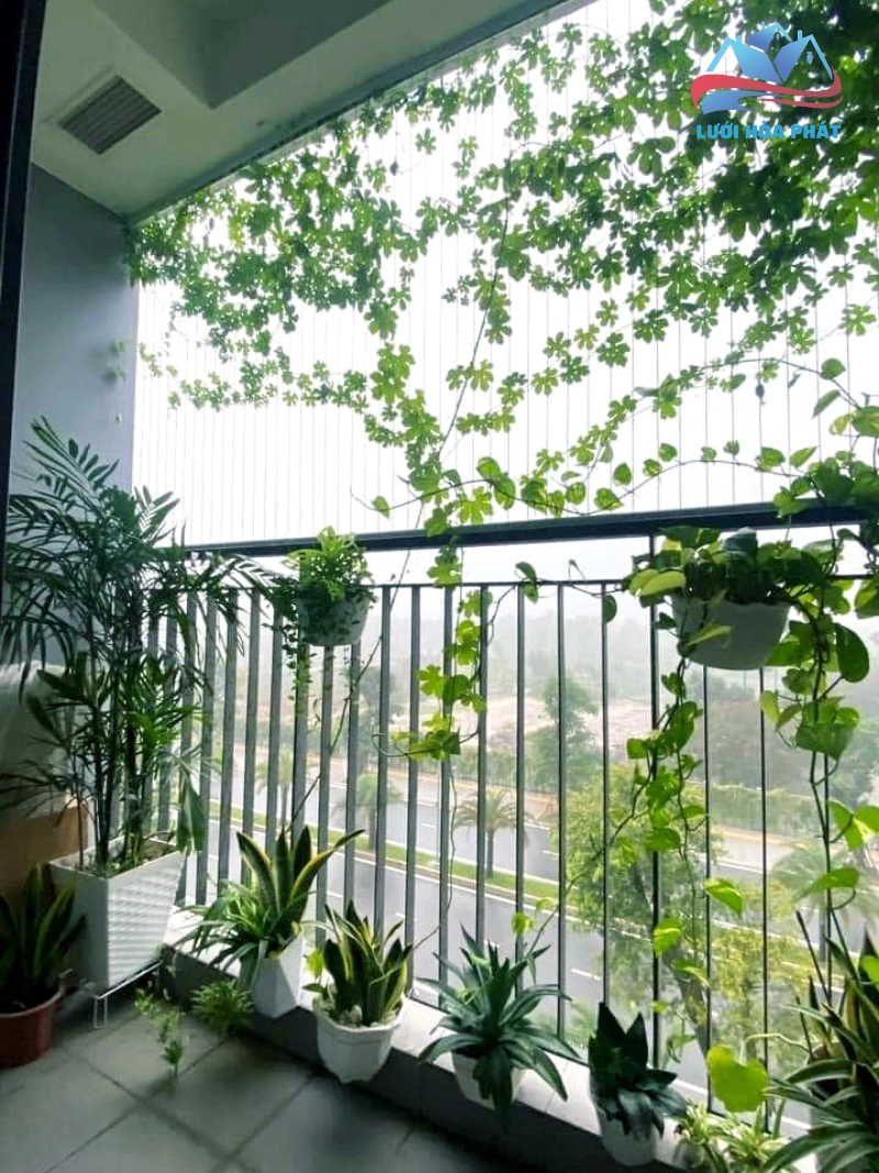 Quy trình lắp đặt và bảo dưỡng lưới an toàn tại nhà phố