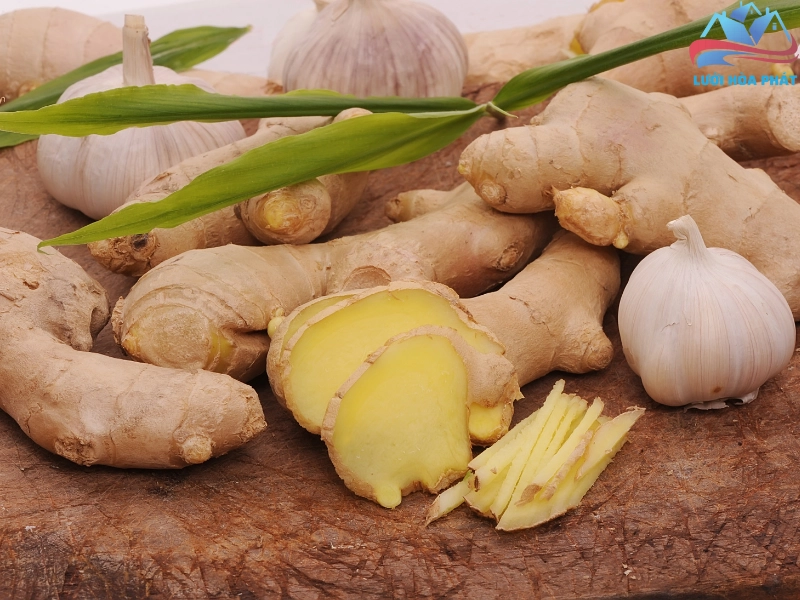 Đuổi muỗi bằng gừng